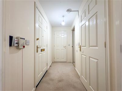 Picture 15